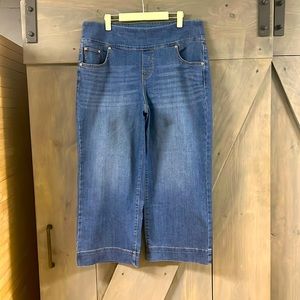 Style & Co Wide Crop Jeans 14W